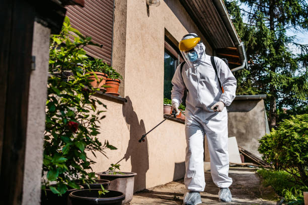 Best Termite Control Services  in Junction City, OR