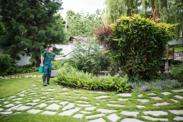 Wasp Removal Services in Junction City, OR