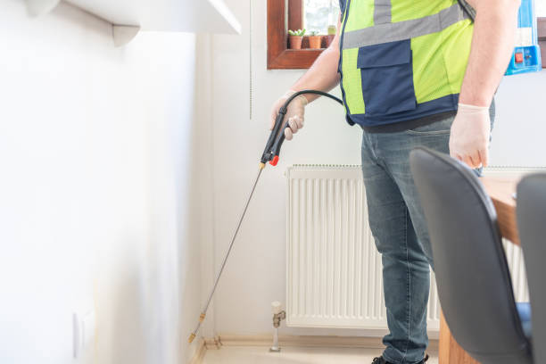 Best Spider Control Near Me  in Junction City, OR