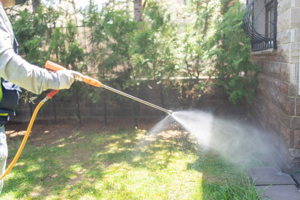 Best Pest Prevention Services  in Junction City, OR