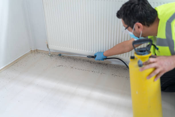 Flea Control Services in Junction City, OR