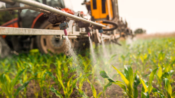 Best Mosquito Control Services  in Junction City, OR