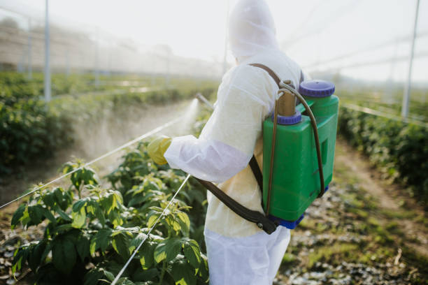 Best Best Pest Control Companies  in Junction City, OR